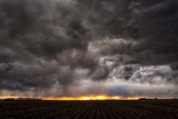 Thunderstorm over the Great Plains;  near Kearney, Nebraska