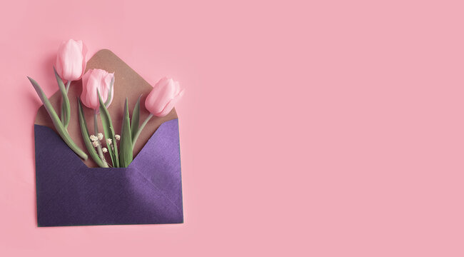 envelope, flower tulip on a colored background