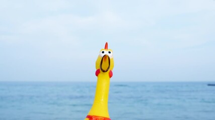 Funny and silly playful video of a rubber chicken toy at the beach. Chicken is looking in different directions surprised by the sea or ocean. Overwhelmed with emotions. Comical scene. Traveling humor.