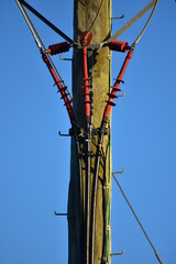 Detail of wooden electric pole with three phase isolated cables coming down to ground.