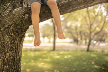closeup of child's feet relaxing in a tree in nature park setting