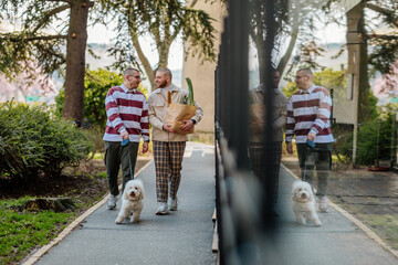 Gay couple and dog walking home from shopping