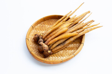 Fingerroot on a white background.