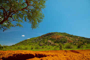 .beautiful savannah views, red clay roads, African landscapes with animals in Kenya