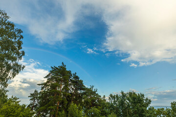 Obraz premium Beautiful view of tops of green trees on blue sky with a rainbow after rain on background. Sweden.