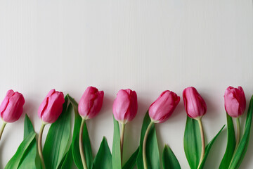 Seven beautiful pink tulips on a white wooden background. Empty place
