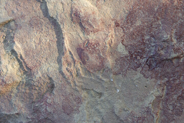 Texture of a non-uniform plastered wall. Beautiful backdrop for design