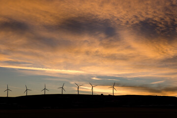 Obraz premium Sunset on the prairies with windmills