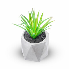 artificial plant in cement pot isolated on white background. fake flower design element cut out