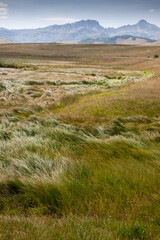 Fototapeta premium Green meadow landscape with mountains and sky in background