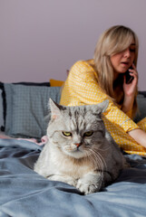 Young woman works on laptop sitting on bed in bedroom next to her pet