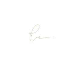 em handwritten logo for identity
