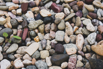 pebbles on the beach
