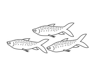 Fishes in black and white shape drawn from the outline
