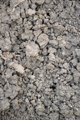 dry soil on  the ground