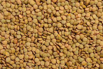 Full frame of lentils.