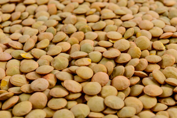 Full frame of lentils. Selective focus.