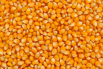 Full frame of corn cereal.