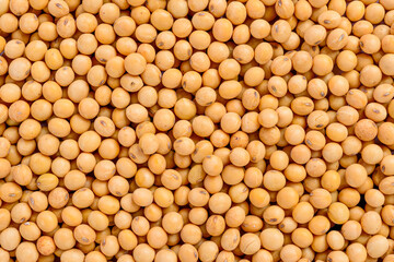 Full frame of soybean. Selective focus.