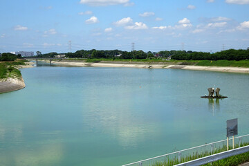 展望の丘から見る行幸湖／県営権現堂公園（埼玉県幸手市）