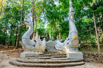 Naga Stairs of Wat Luang Khun Win in Chiangmai Province