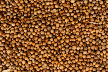Full frame of coriander seeds.