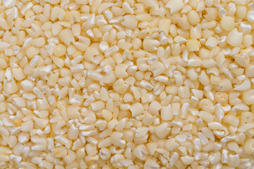Full frame of crushed white corn kernels.