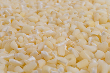 Full frame of crushed white corn kernels. Selective focus.