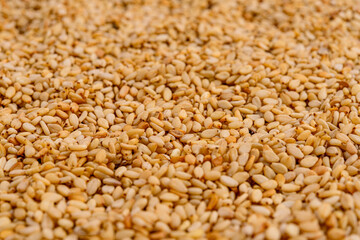 Full frame of white sesame. Selective focus.