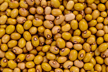 Full frame of beans - ball.