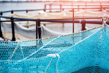 Fish farm for breeding for rainbow trout and salmon fry in net cages. Concept aquaculture...