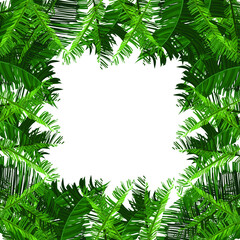 Naklejka premium green leaf frame with banana leaves high resolution - vector frame banana leaves - border banana leaves tropical leaves