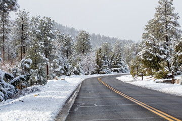 Winter snow in the mountains of Prescott, Arizona after a storm