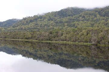 Reflections, Gordon River, Tasmanian Wilderness World Heritage Area.
