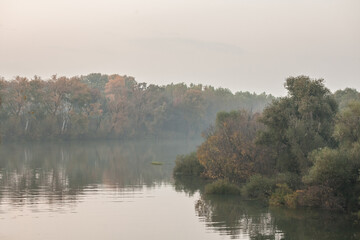Panorama of the Timis river in pancevo, banat, serbia, with fog, misty and autumn trees in a middle...