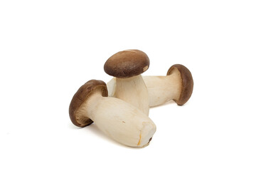 king oyster mushrooms isolated on white