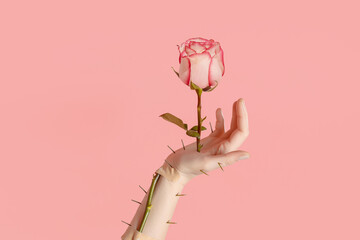 Hand holds a prickly rose with thorns. Creative concept of love, broken heart - 422881859