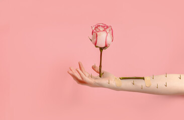 Hand holds a prickly rose with thorns. Creative concept of love, broken heart - 422881868