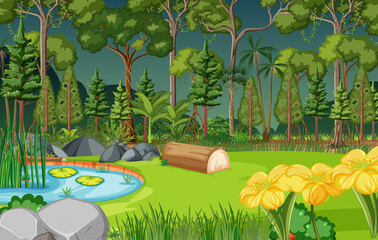 Forest scene with pond and many trees