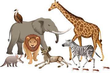 Gruppe wilder afrikanischer Tiere auf weißem Hintergrund © blueringmedia