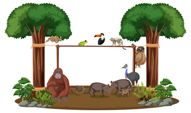 Empty banner with wild animals and rainforest trees on white background