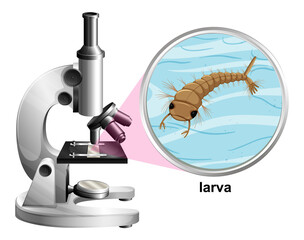 Microscope with larva mosquito on white background