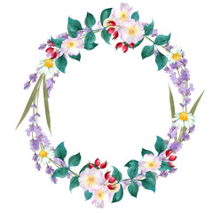 Watercolor herbal wreath and bouquet frame illustration with rosehip flowers, rosehip berry, chamomile, lavender flowers.