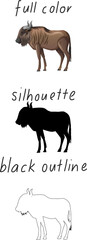 Set of bull in color, silhouette and black outline on white background