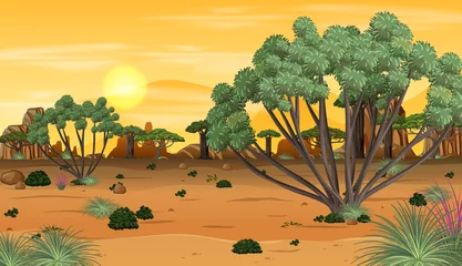 Afrikanische Waldlandschaft bei Sonnenuntergang © blueringmedia