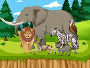 Gruppe wilder afrikanischer Tiere in der Waldszene © blueringmedia