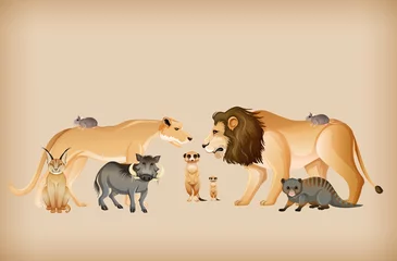 Gruppe von wilden Tieren im Hintergrund © blueringmedia