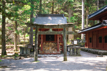 新緑の季節　森の中の神社