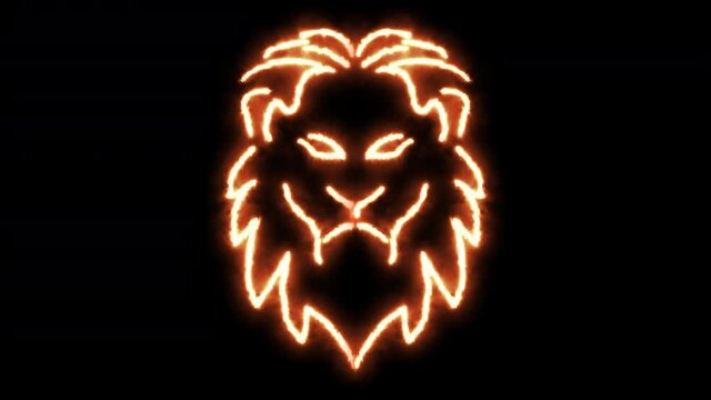 Lion head outline of burning flames and lion head in neon lights. Compilation of animation with lion in fire and glow light effects.