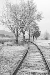 Fototapeta premium 봄 풍경